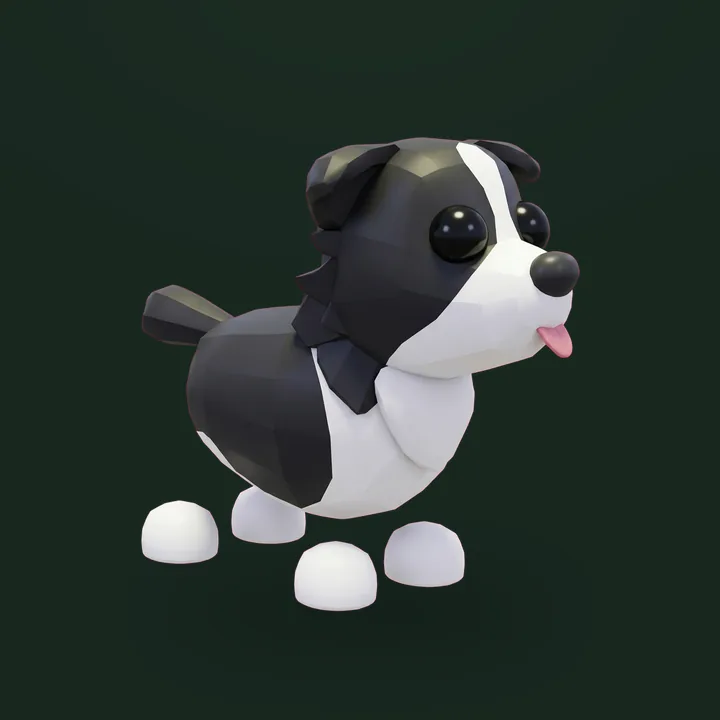 Border Collie - Adopt Me