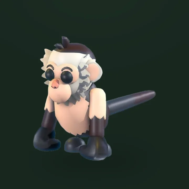 Capuchin Monkey - Adopt Me