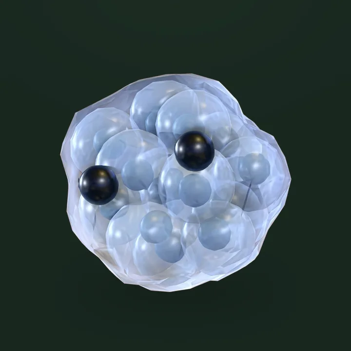 Frogspawn - Adopt Me