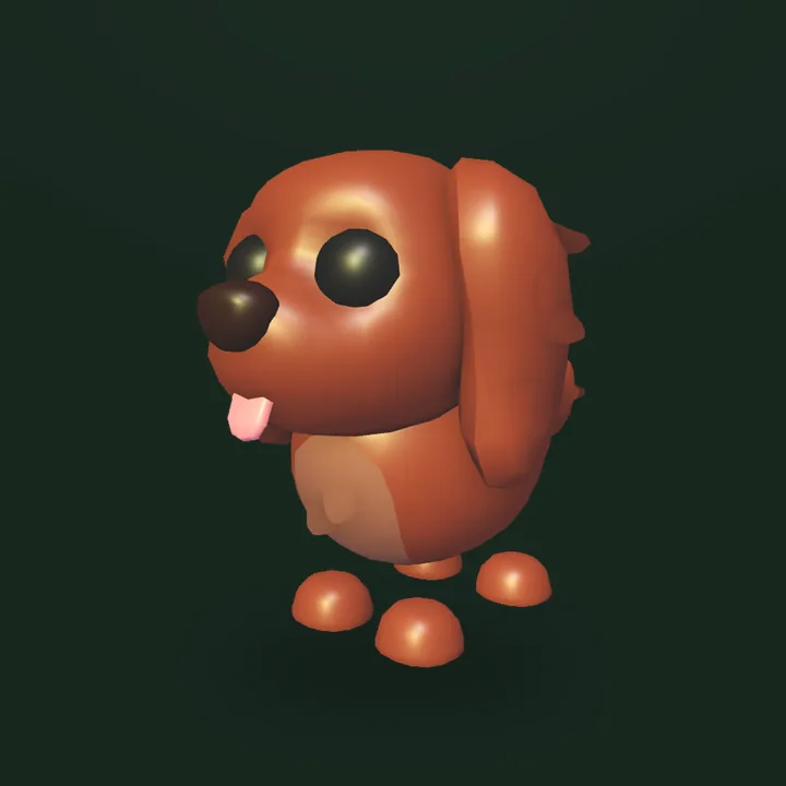 Irish Setter - Adopt Me